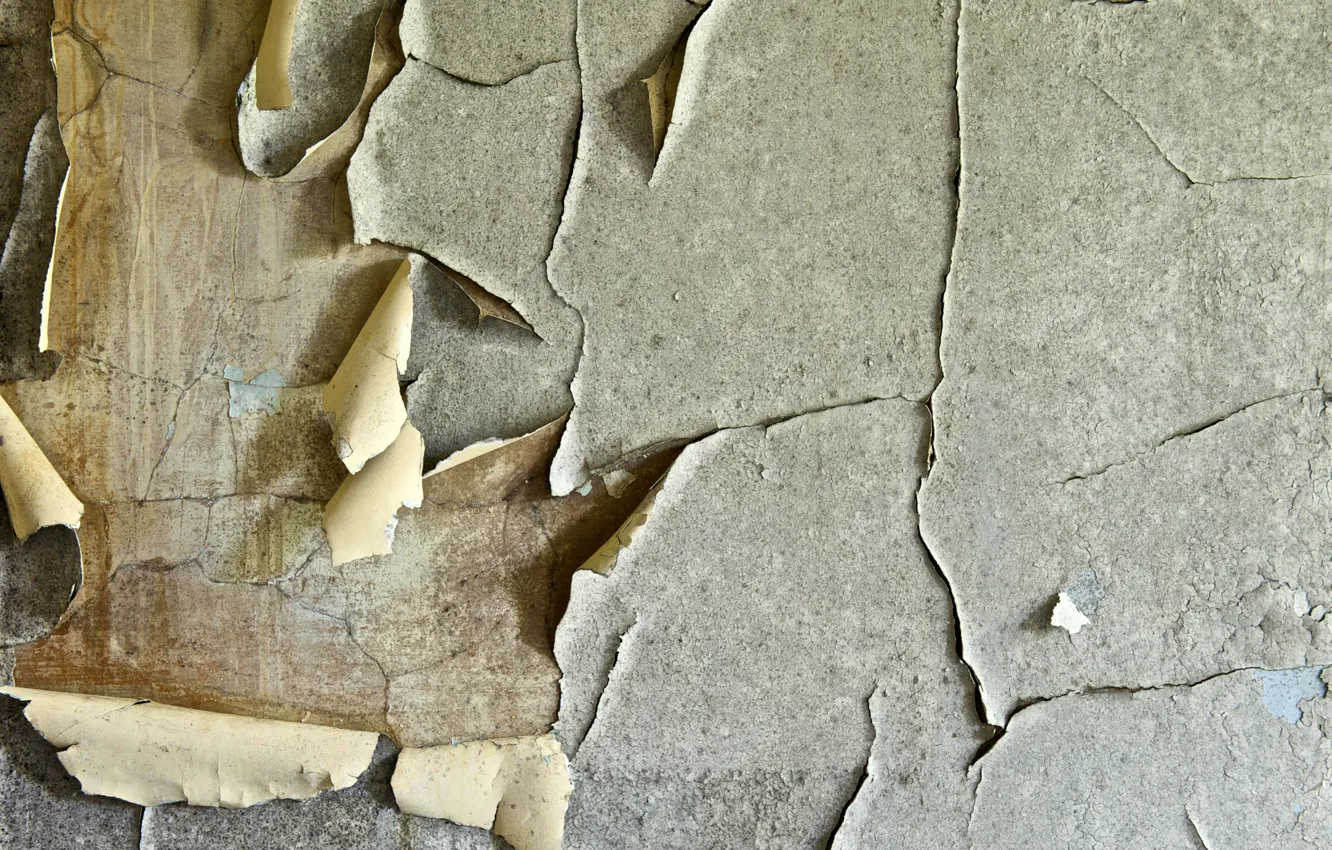 Фото обои фон, стена, Texture