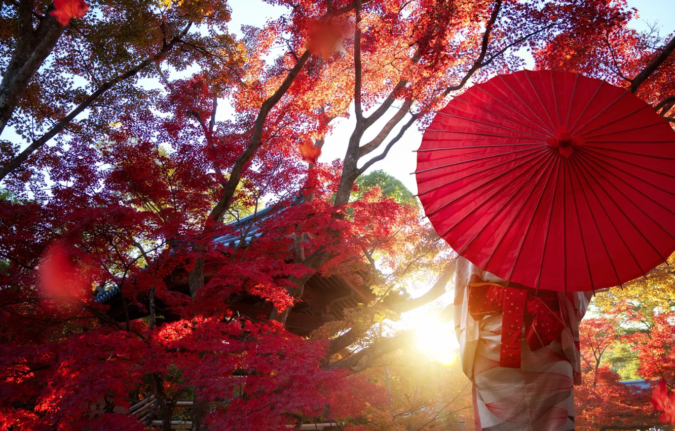 Фото обои осень, девушка, свет, деревья, ветки, красный, парк, листва