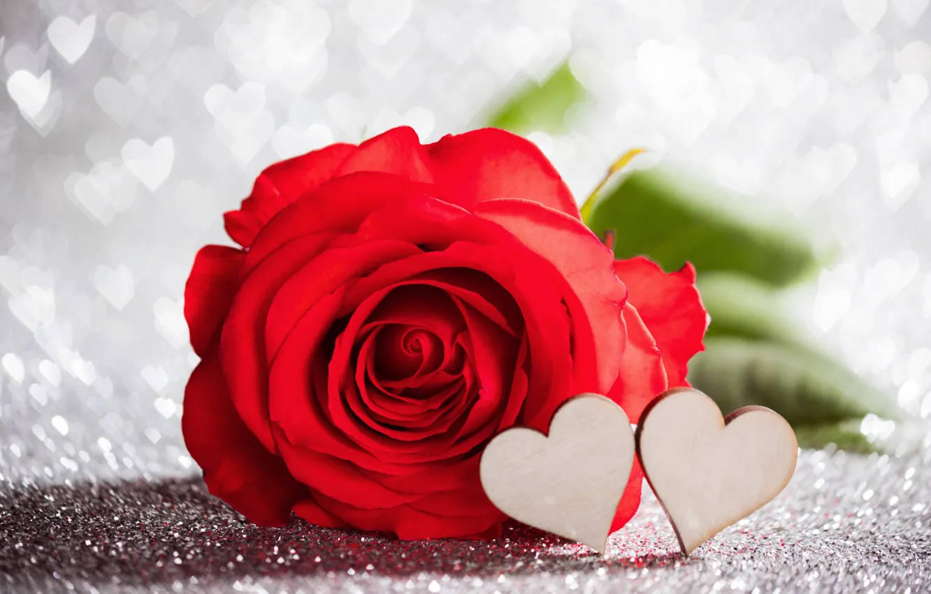 Фото обои любовь, роза, сердечки, red, love, rose, красная, wood