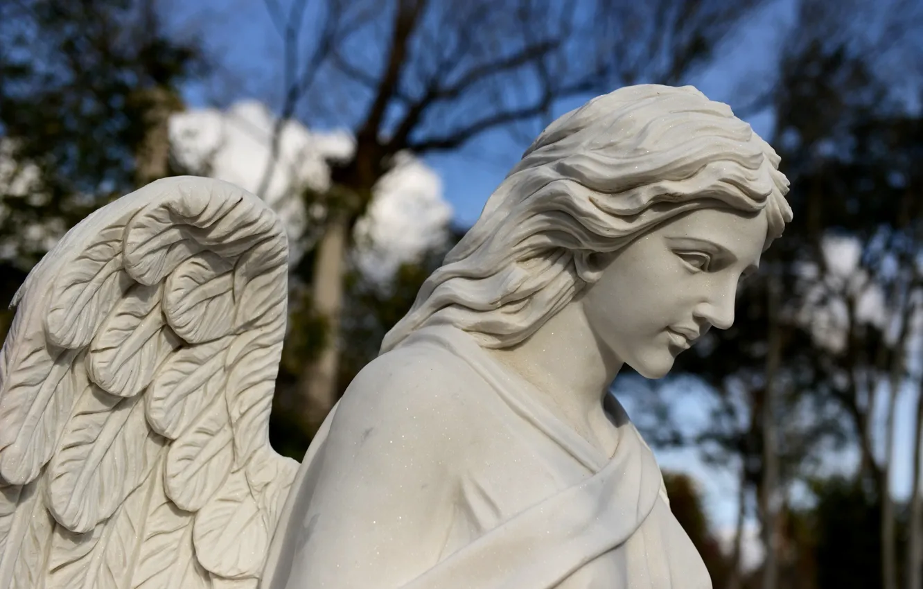 Фото обои крылья, ангел, статуя, скульптура
