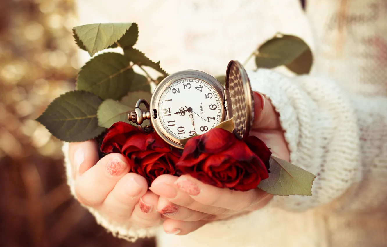 Фото обои листья, время, часы, розы, руки, циферблат, свитер, веты
