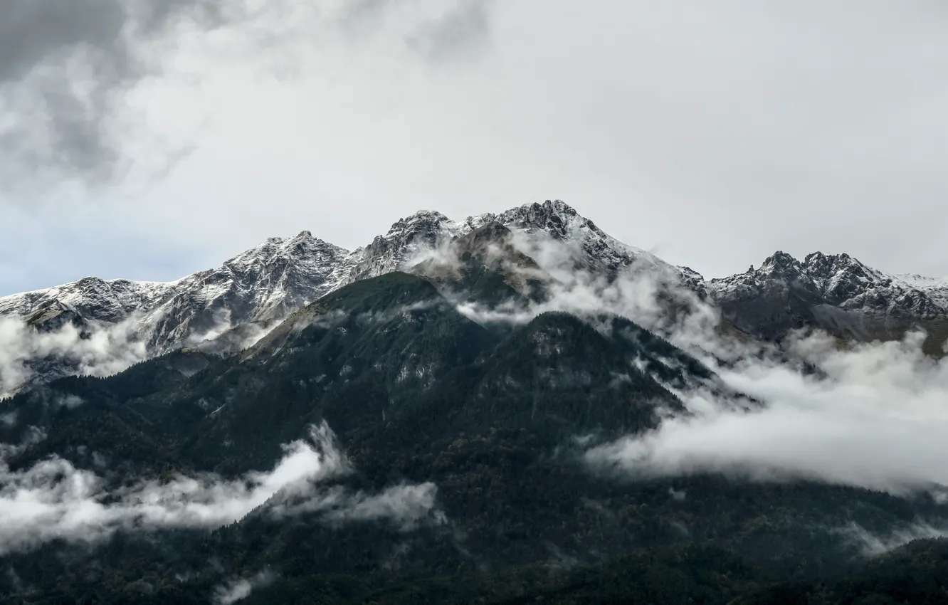 Фото обои небо, облака, деревья, горы, природа, туман, скалы