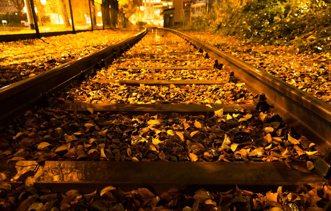 Фото обои осень, ночь, город, железная дорога