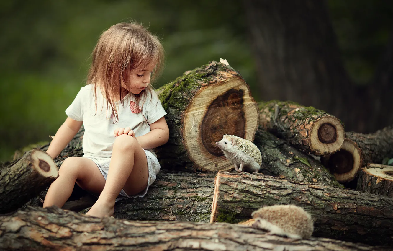 Фото обои животные, природа, девочка, ребёнок, брёвна, ёжики, ежи, Марианна Смолина