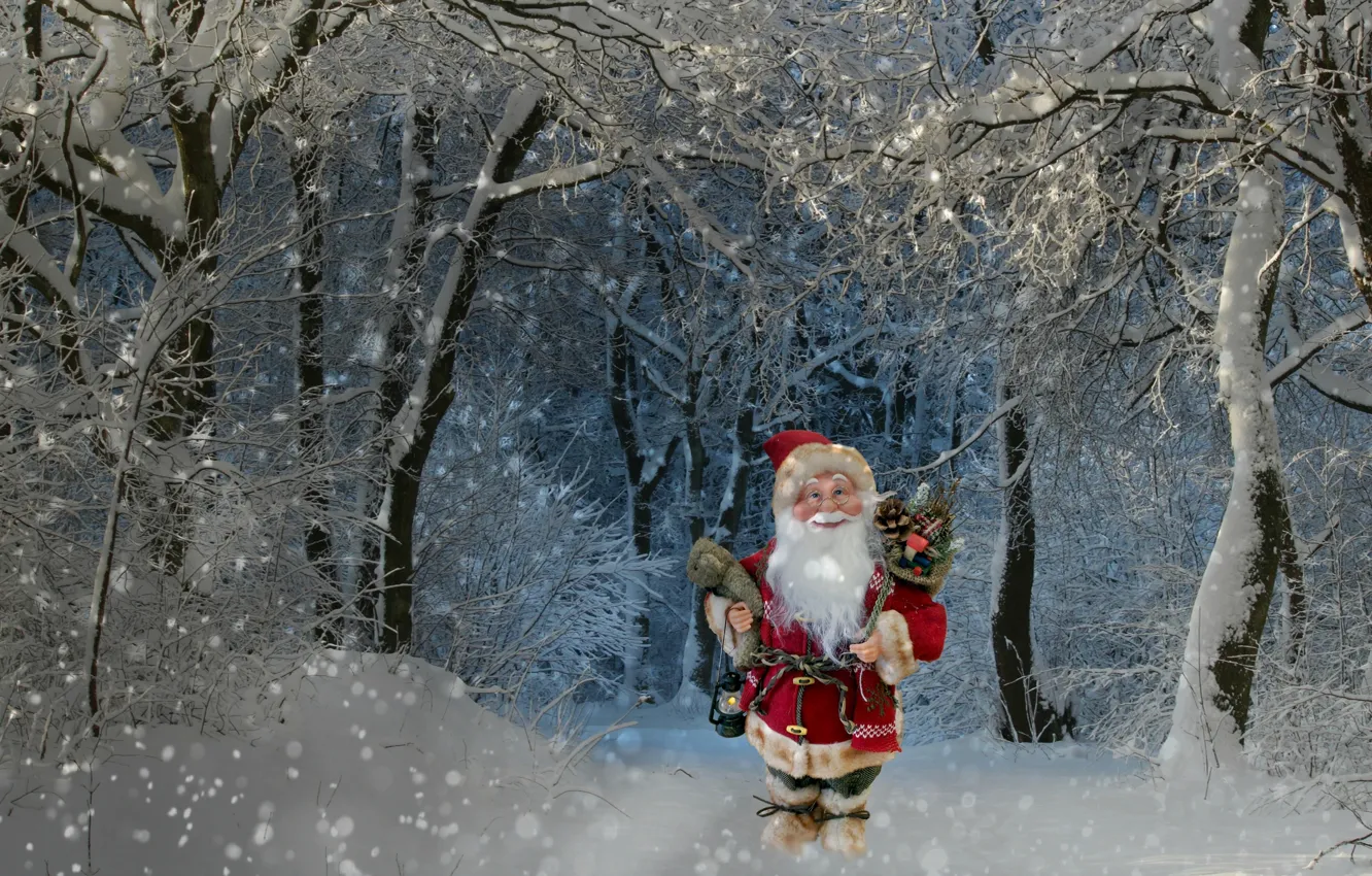 Фото обои зима, лес, снег, деревья, праздник, ветви, игрушка, новый год
