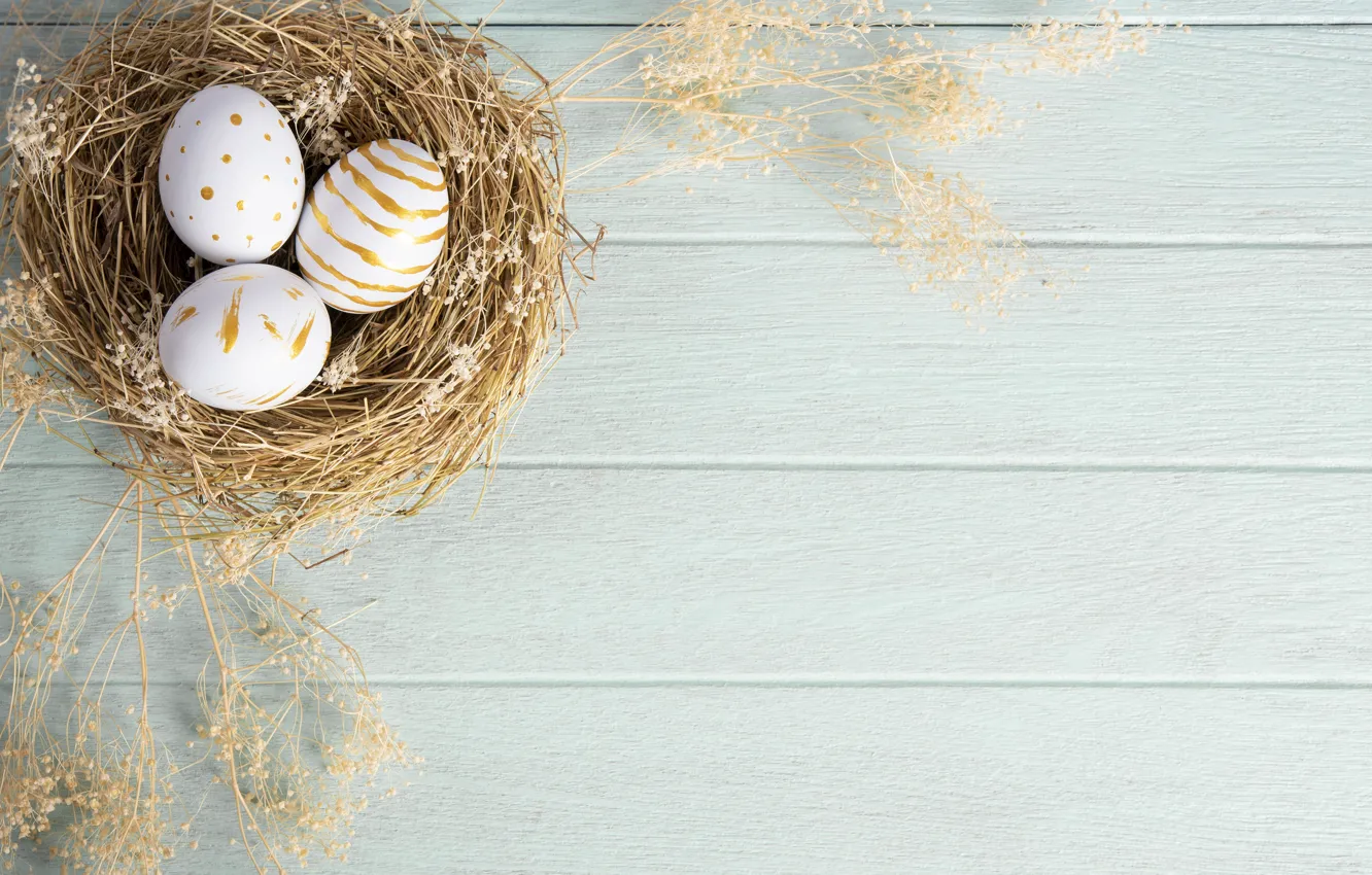 Фото обои праздник, яйца, перья, пасха, гнездо
