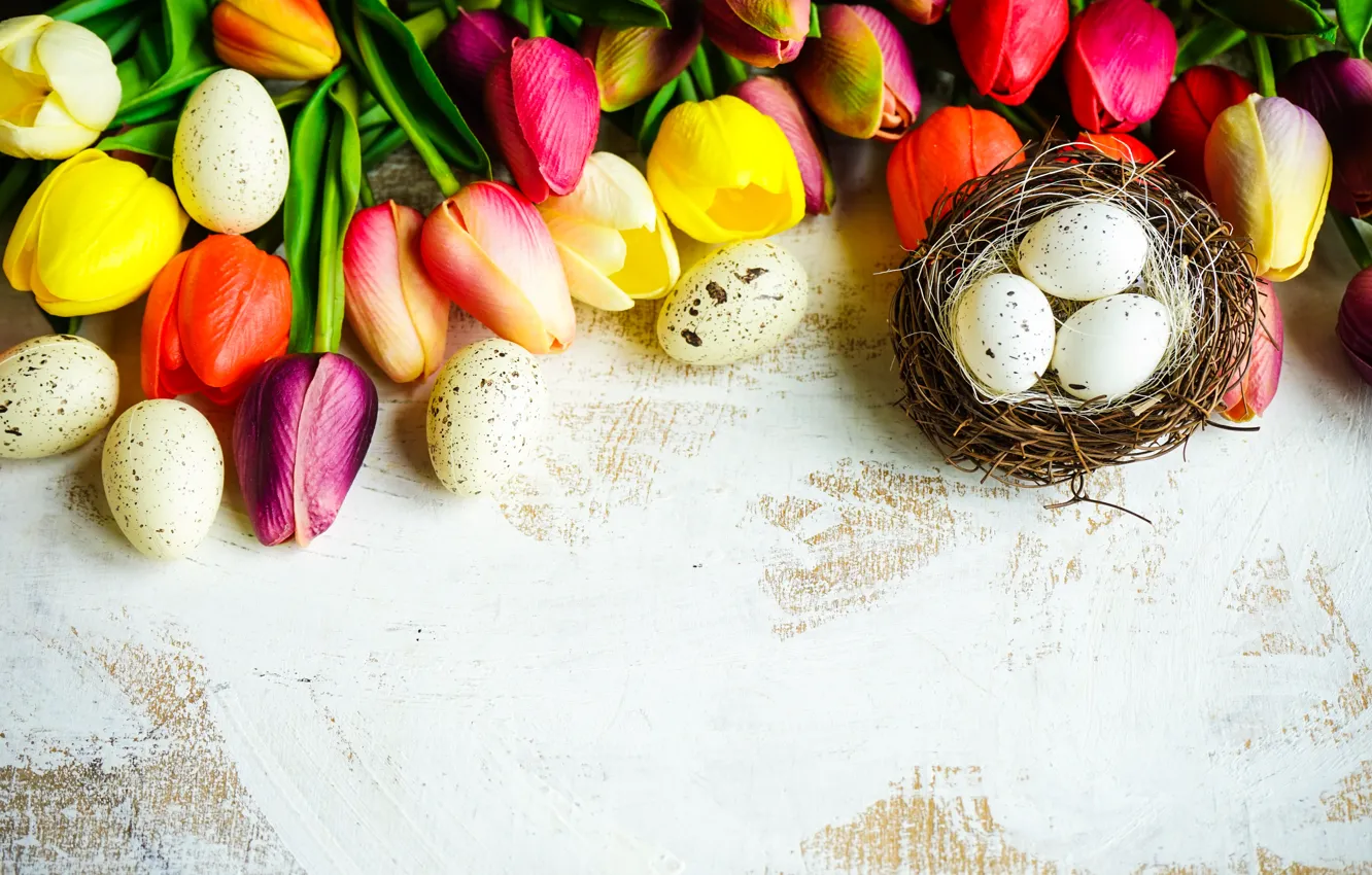 Фото обои цветы, colorful, Пасха, тюльпаны, happy, flowers, tulips, Easter