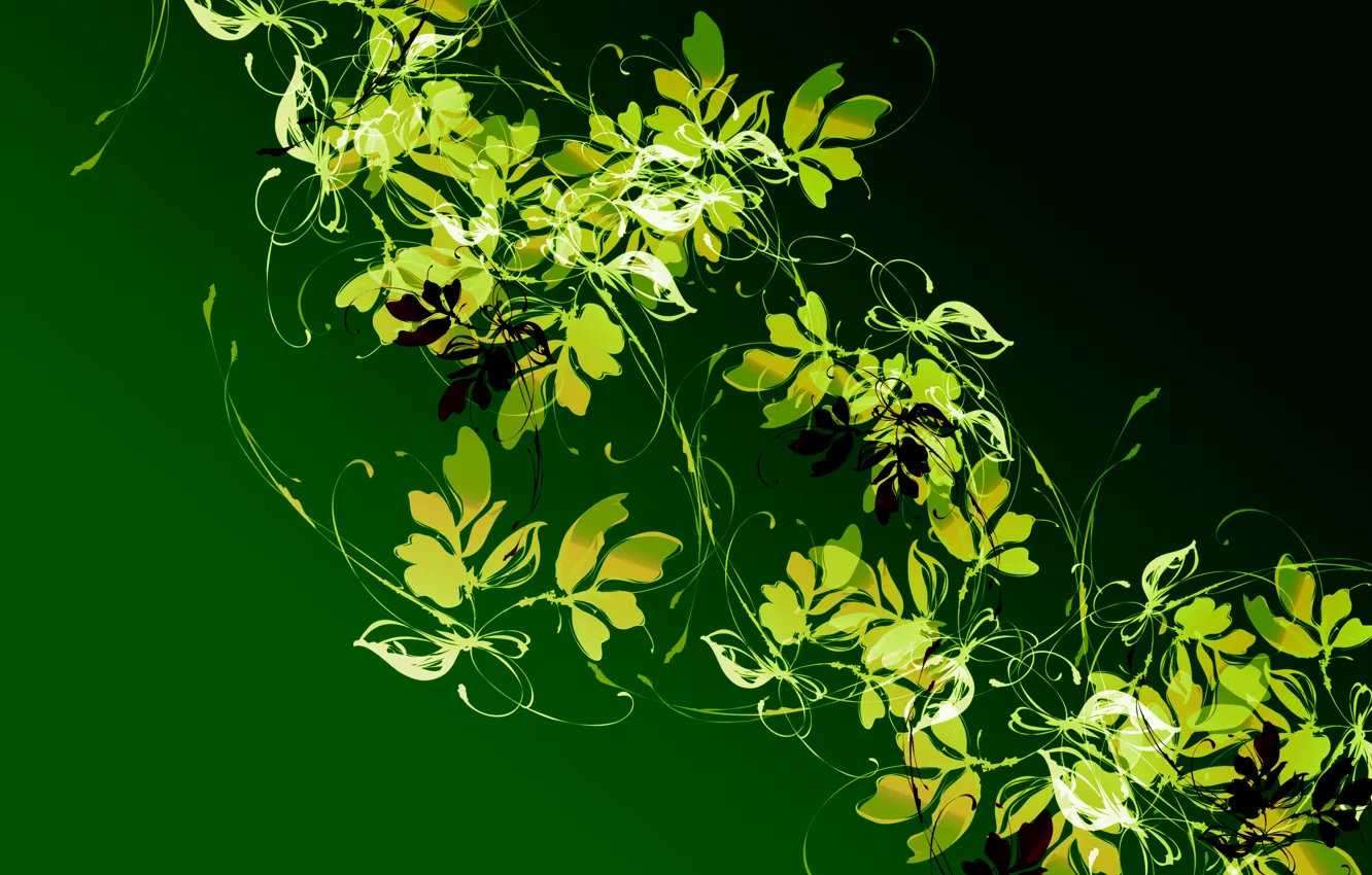 Фото обои листья, свет, узор, растение, цвет, контраст, лиана