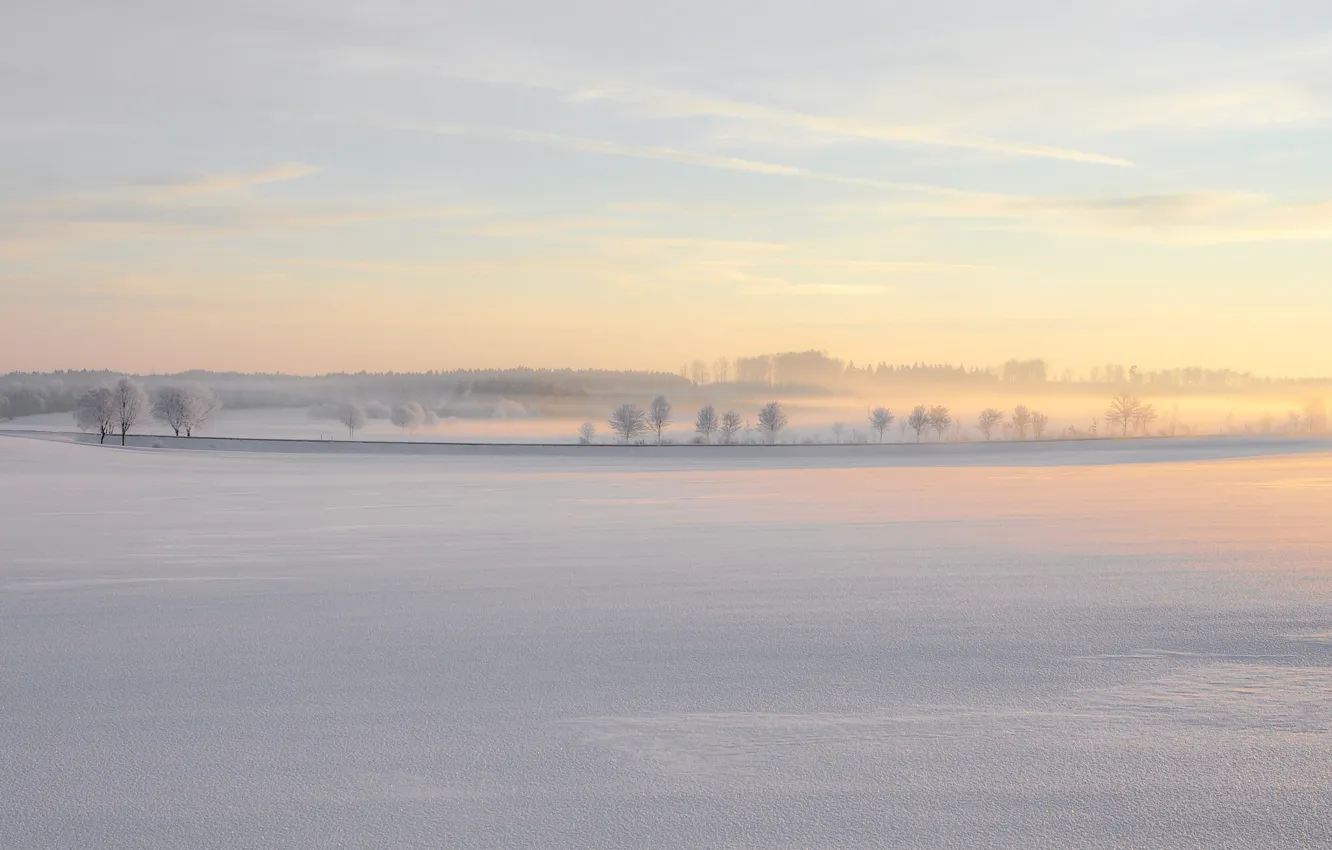 Фото обои зима, природа, туман