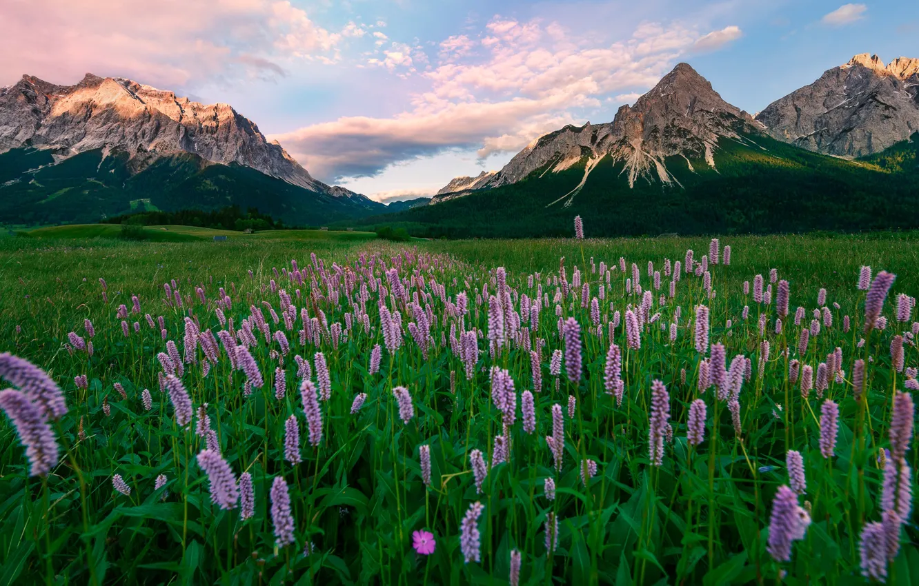 Фото обои пейзаж, горы, природа, Австрия, Альпы, травы, луга