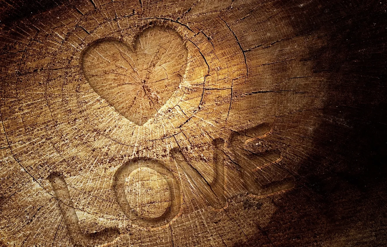 Фото обои love, wood, Heart