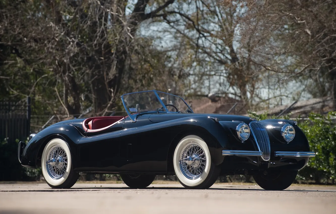 Фото обои Roadster, Jaguar, ягуар, родстер, классика, XK120, 1949–54
