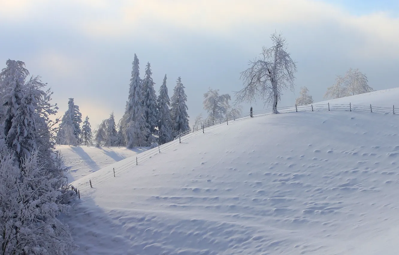 Фото обои зима, снег, деревья, пейзаж, природа, забор