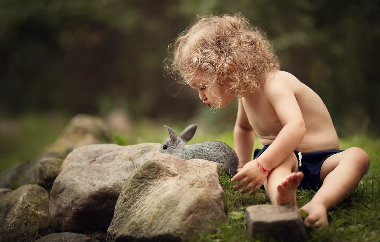 Фото обои лето, природа, камни, животное, кролик, девочка, кудри, ребёнок