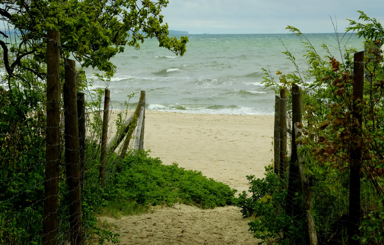 Фото обои beach, sea, ocean, water, sand, path