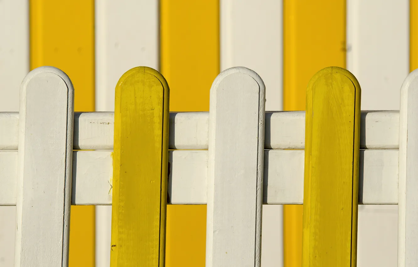 Фото обои белый, желтый, краски, доски, забор, домик
