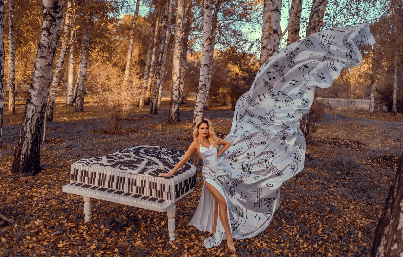 Фото обои осень, лес, взгляд, девушка, природа, поза, стиль, парк