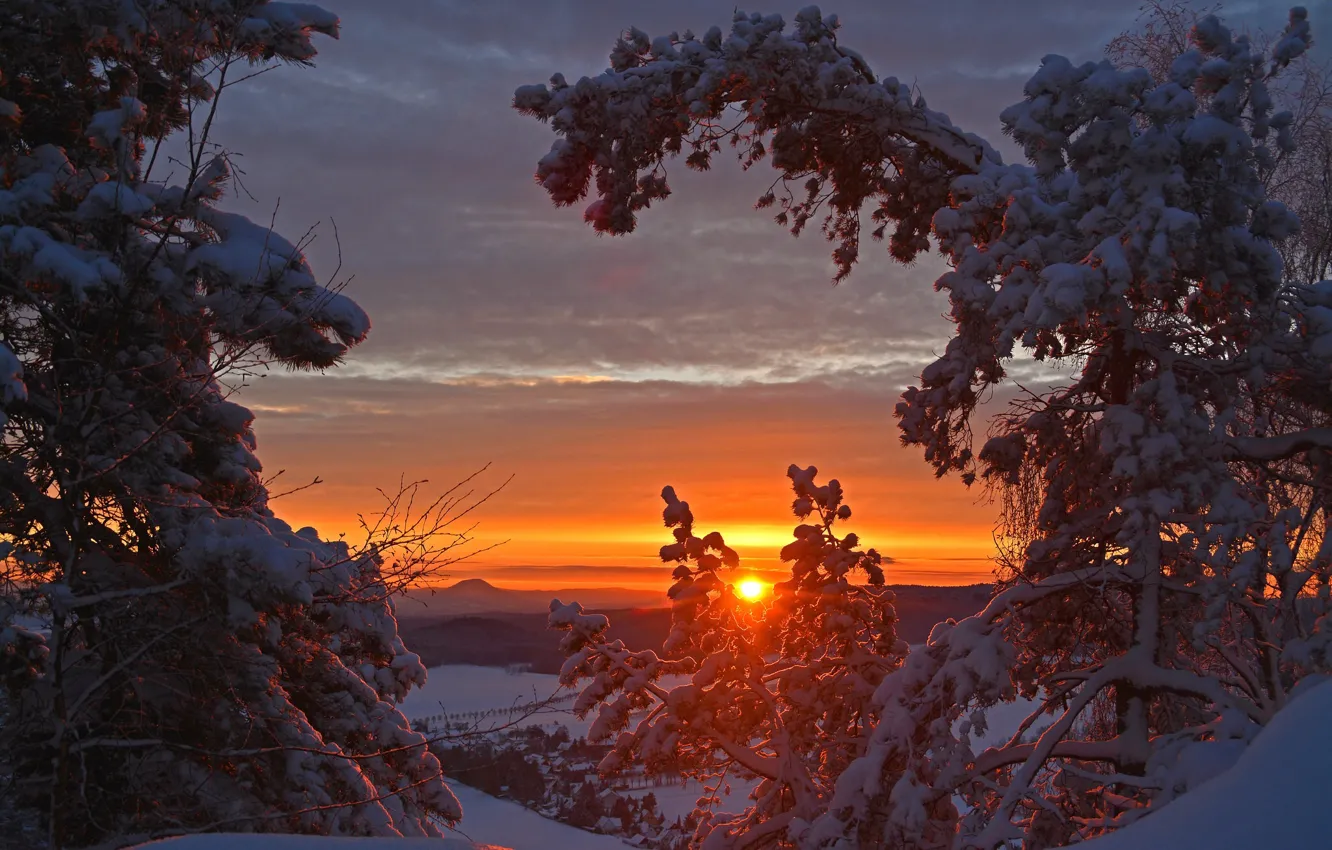 Фото обои зима, снег, деревья, закат, Германия, Germany, Саксония, Saxony
