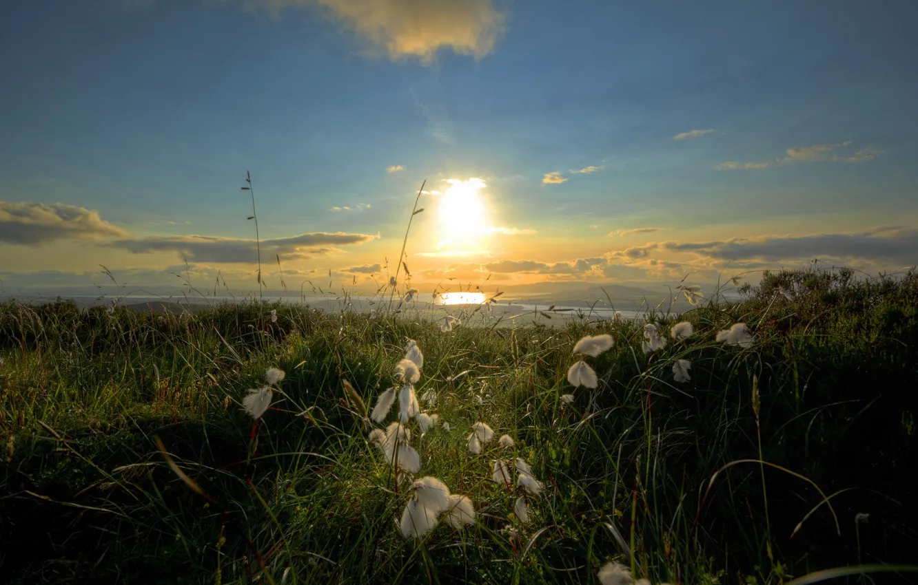 Фото обои море, пейзаж, утро, Irish Cotton