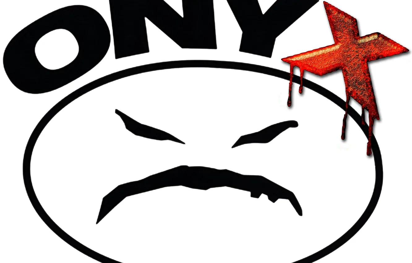 Фото обои logo, onyx, musik