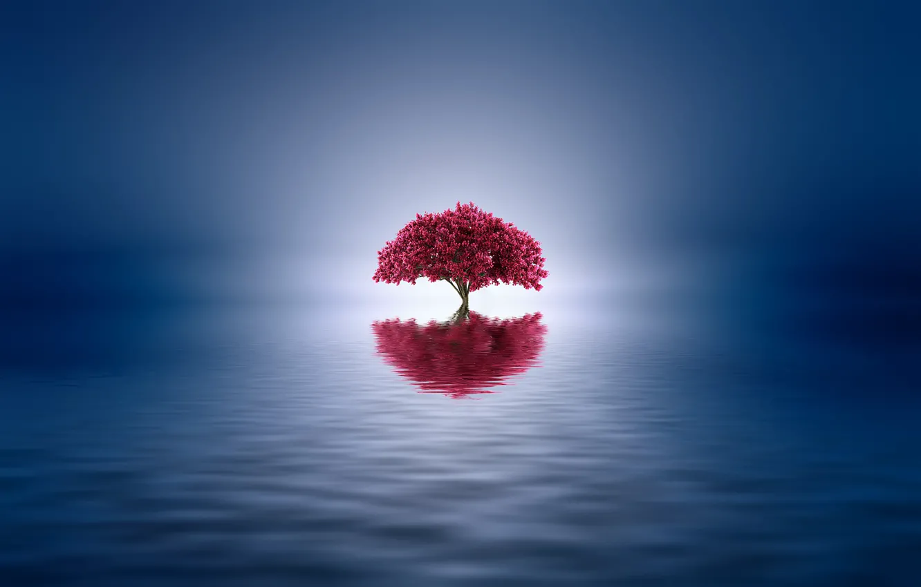 Фото обои озеро, отражение, дерево, краски, цвет, стилизация, Josep Sumalla