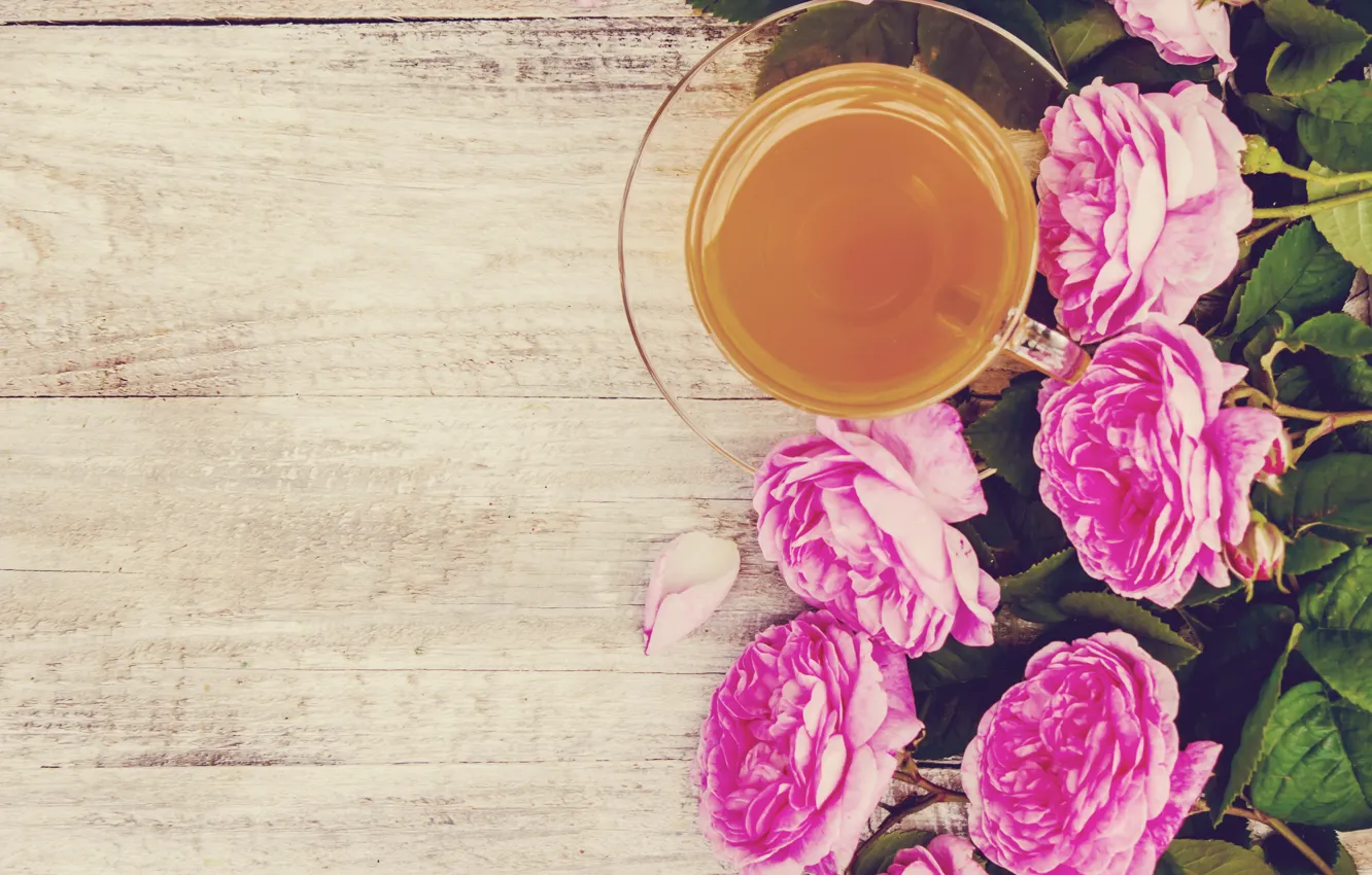 Фото обои цветы, розы, лепестки, розовые, wood, pink, flowers, cup