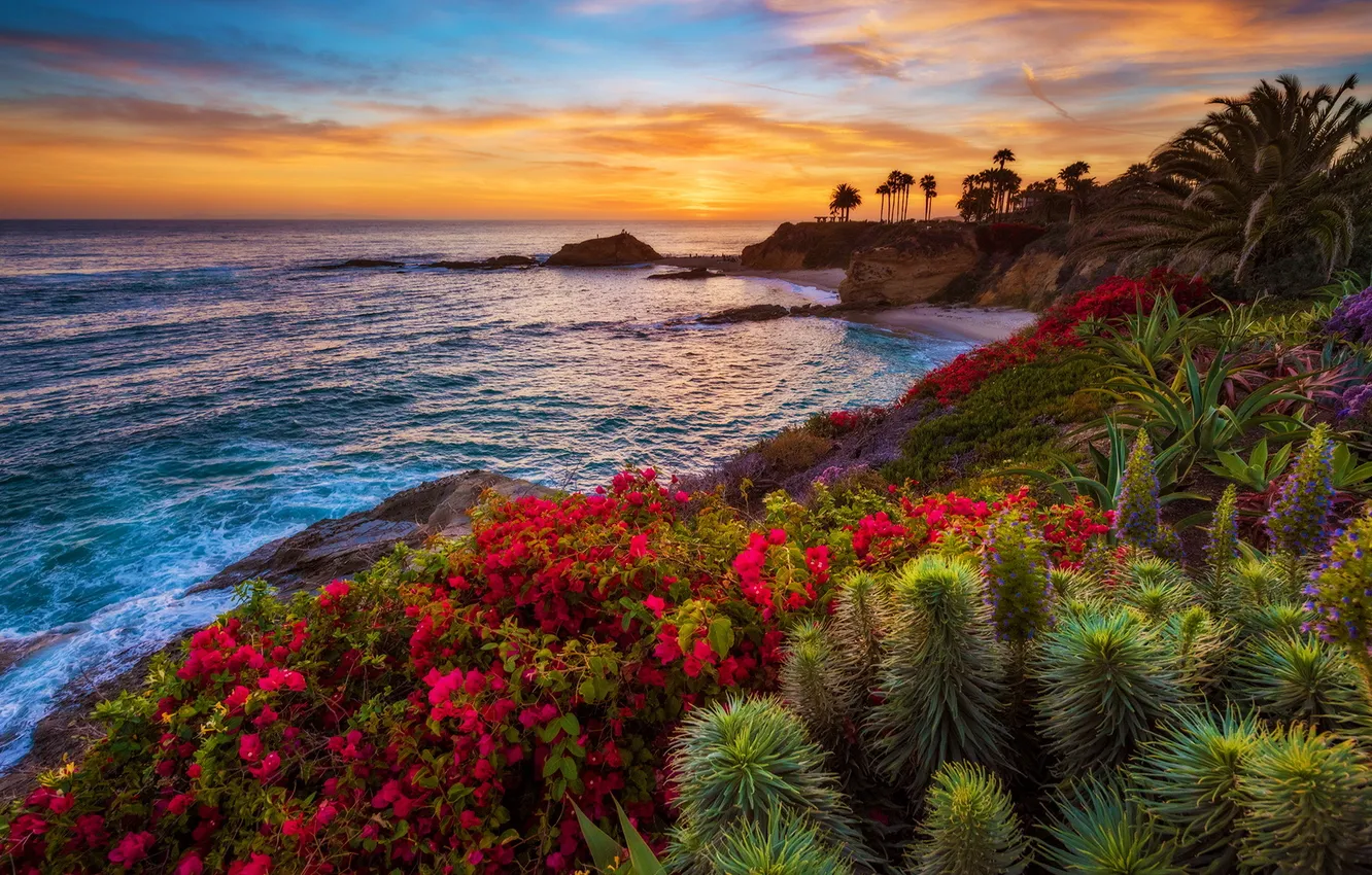 Фото обои sunset, California, Laguna Beach