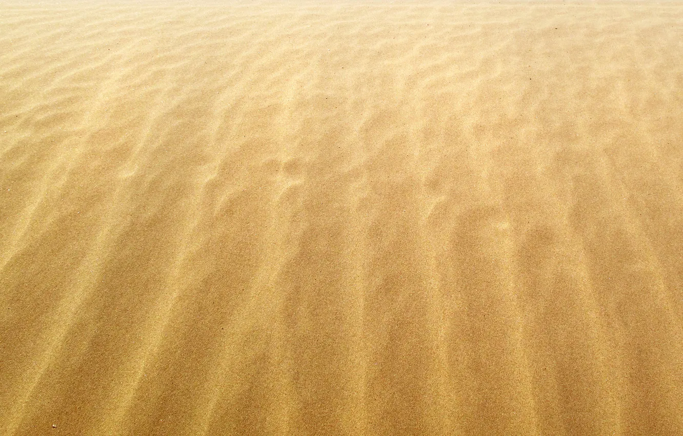 Фото обои песок, ветер, берег, побережье, желтые, песчинки, пески, пляжи