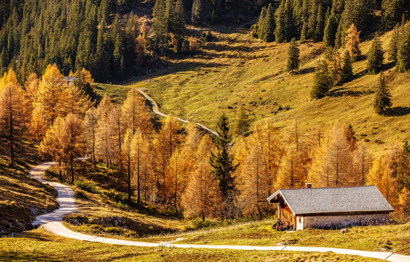 Фото обои дорога, осень, деревья, горы, дом, Германия, Бавария
