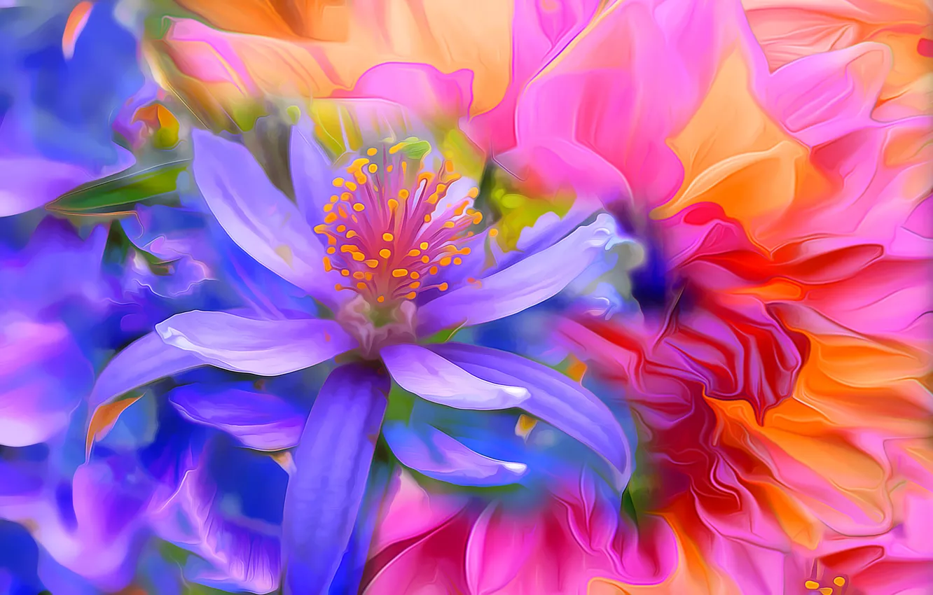 Фото обои цветок, линии, краски, лепестки, сад, клумба, штрих