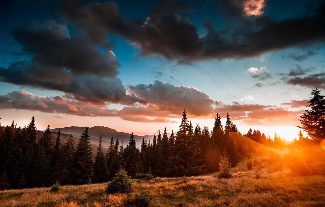 Фото обои лес, небо, солнце, облака, свет, закат, горы, тучи