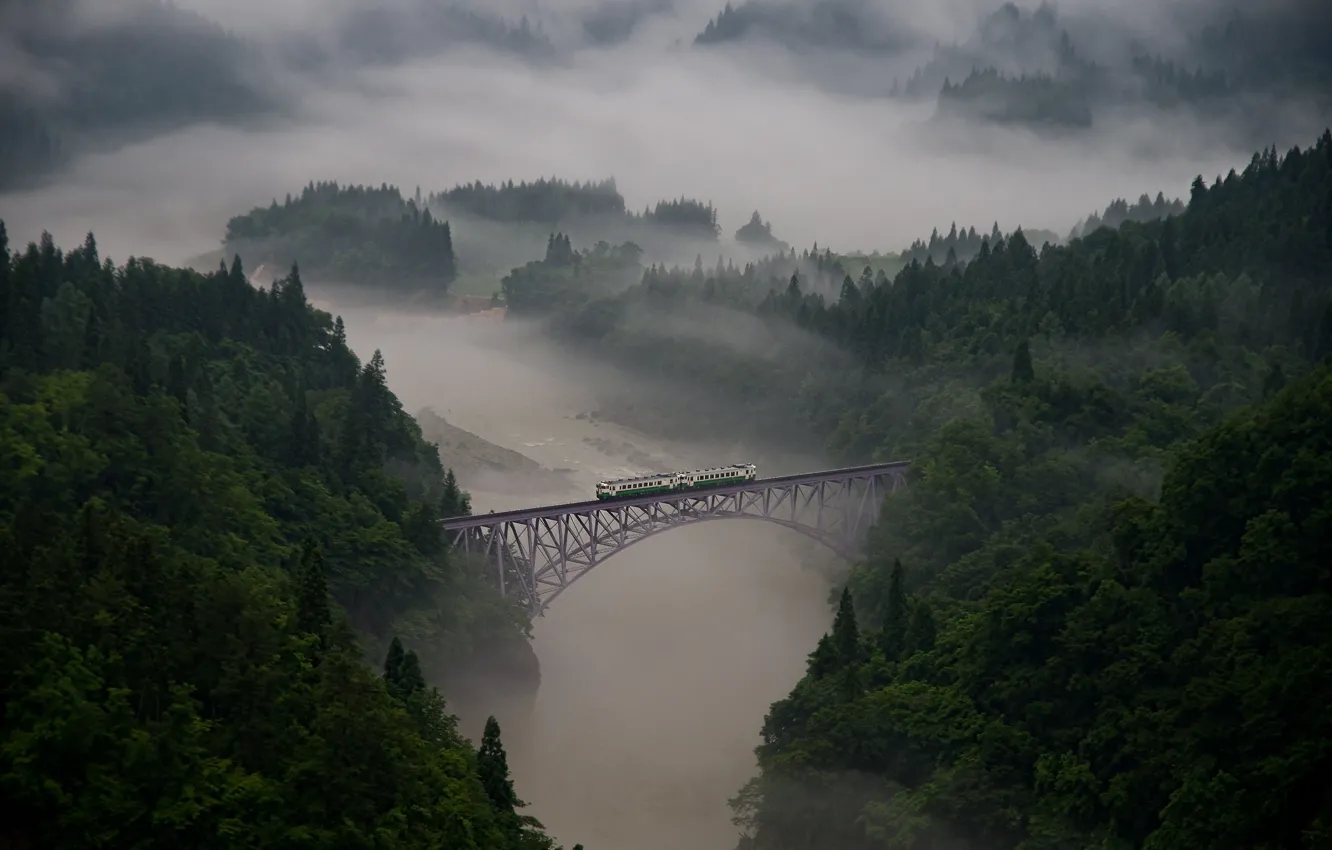 Фото обои лес, деревья, мост, туман, река, поезд, вагоны, дымка