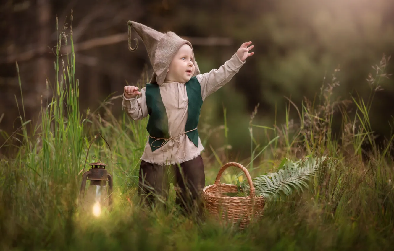 Фото обои трава, радость, мальчик, фонарь, гном