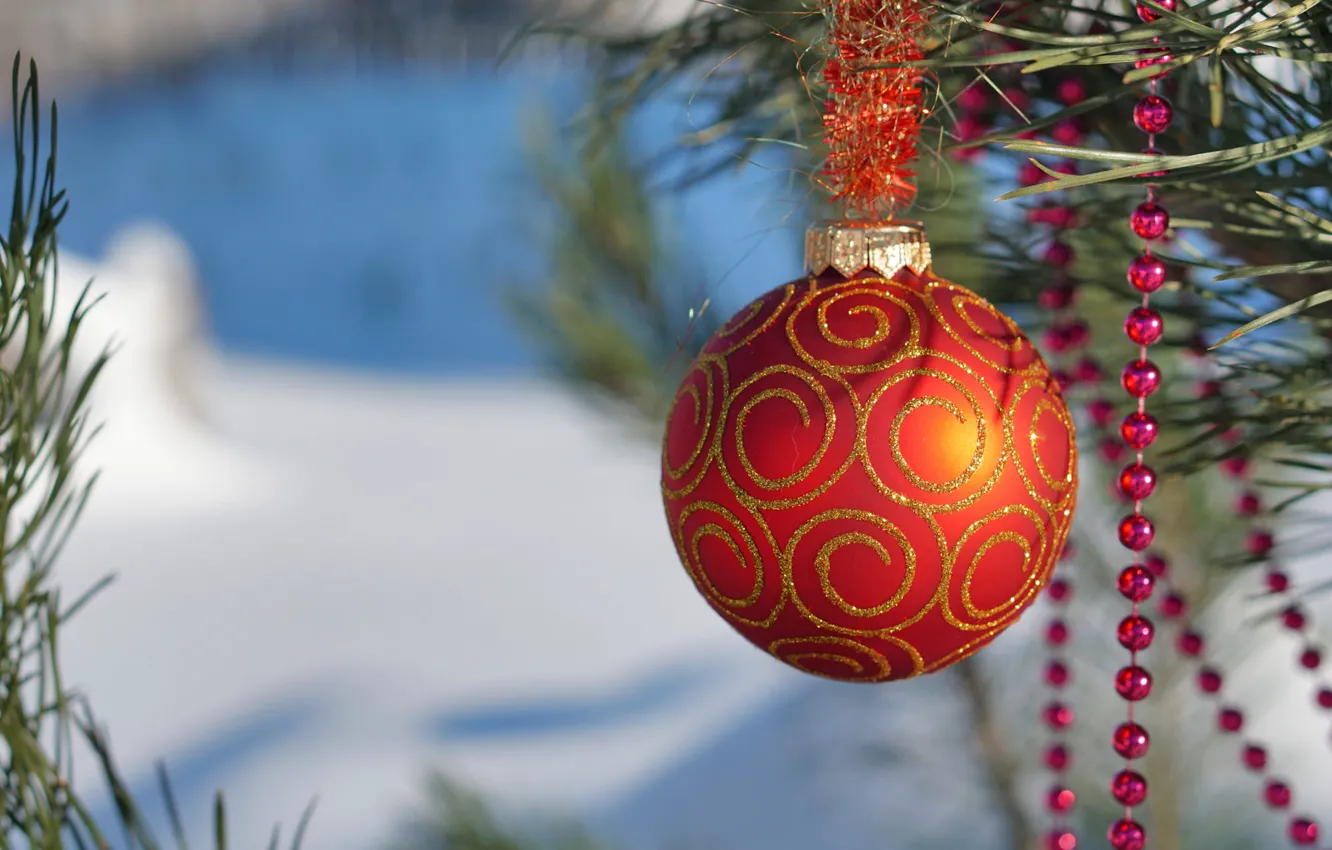 Фото обои зима, снег, оранжевый, ветки, праздник, шар, шарик, Рождество