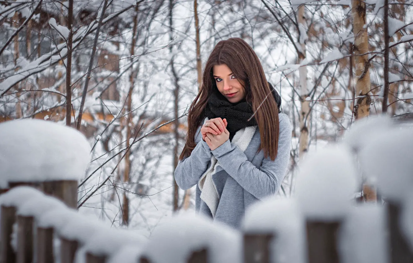 Фото обои зима, снег, деревья, ветки, Девушка, Иван Щеглов