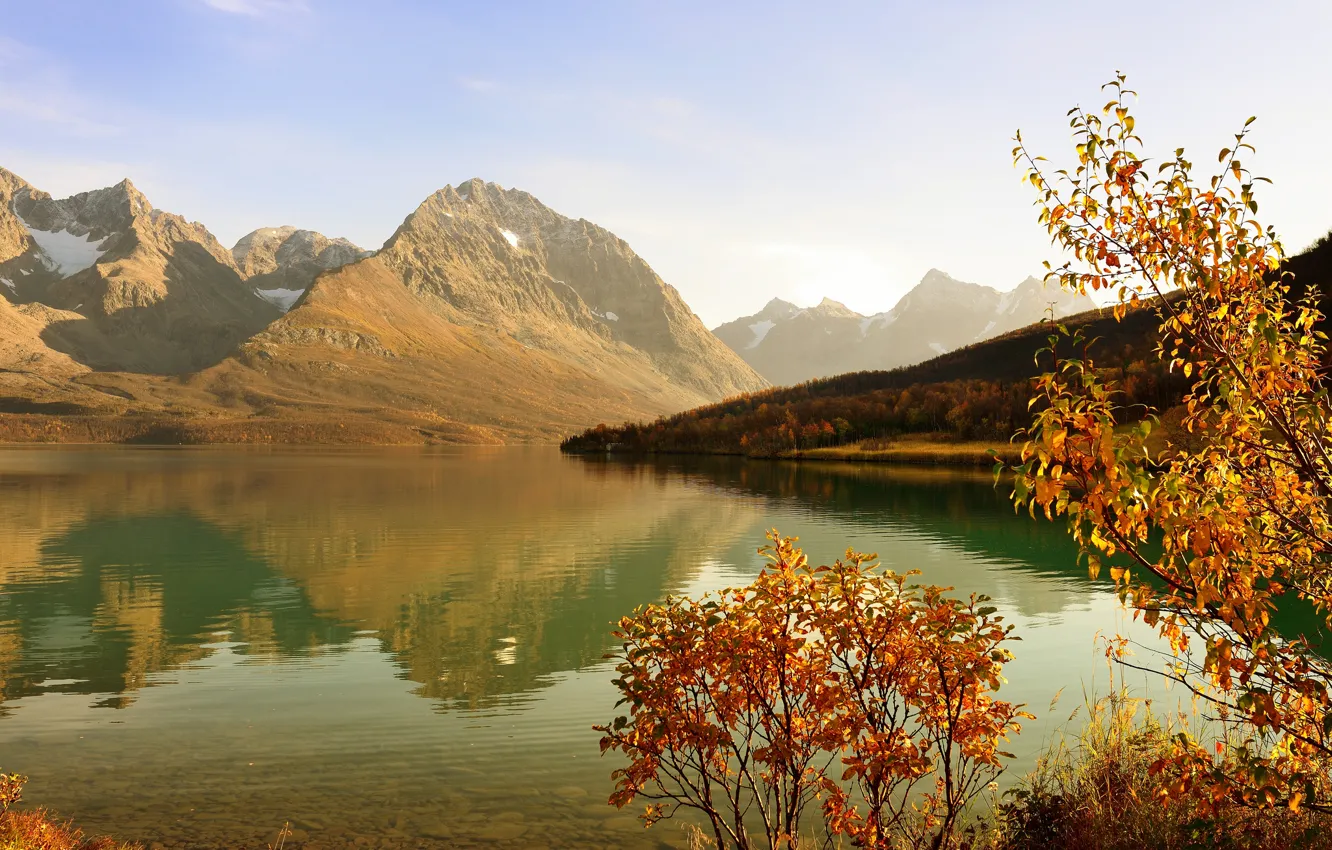 Фото обои осень, лес, горы, дерево, залив, кустарник