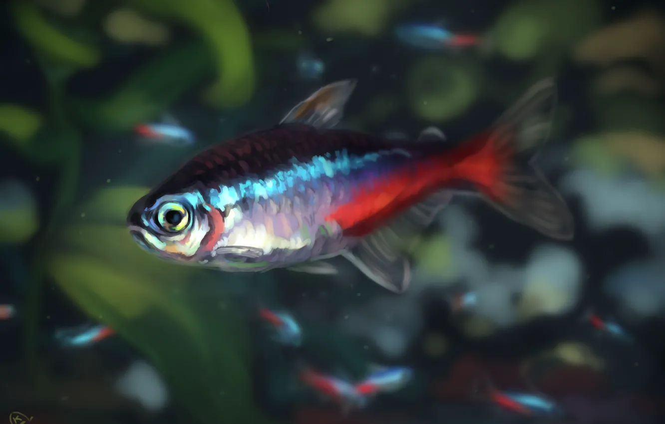 Фото обои рыбки, неон, AlaxendrA