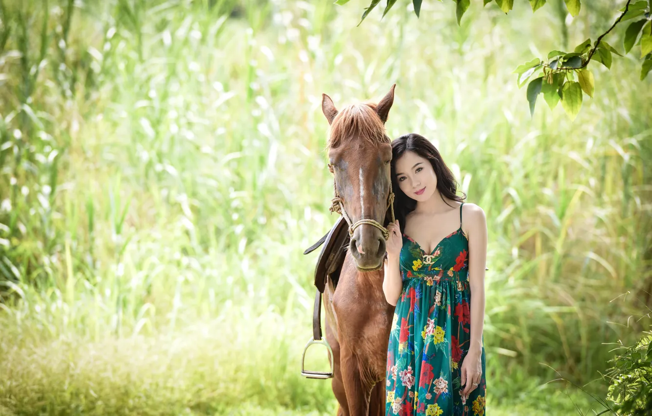 Фото обои зелень, лето, взгляд, фон, конь, платье, азиатка