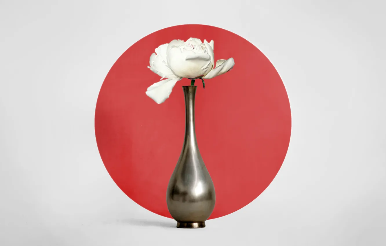 Фото обои япония, минимализм, Japan, натюрморт, flower, ваза с цветами, пион, peony