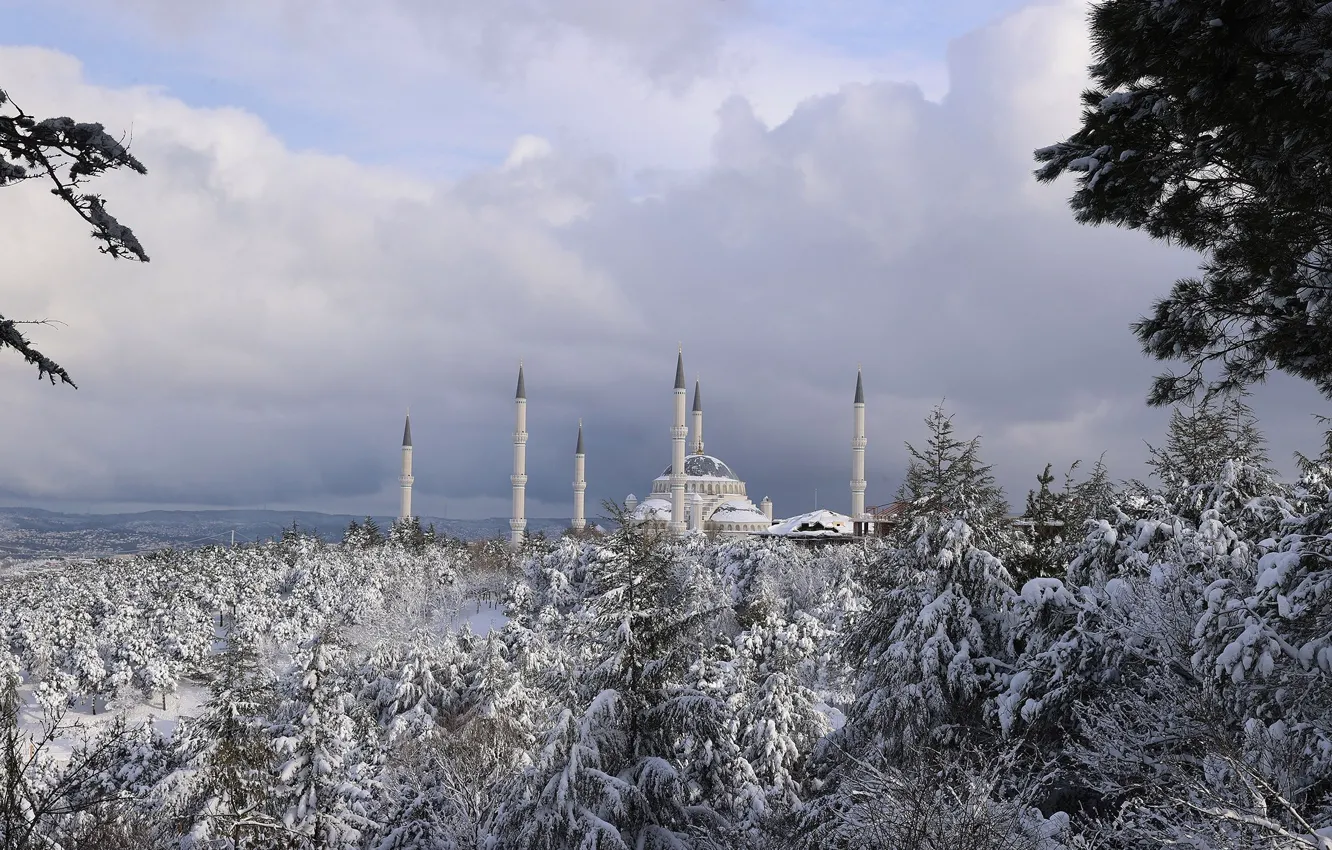 Фото обои trees, winter, snow, mosque, istanbul