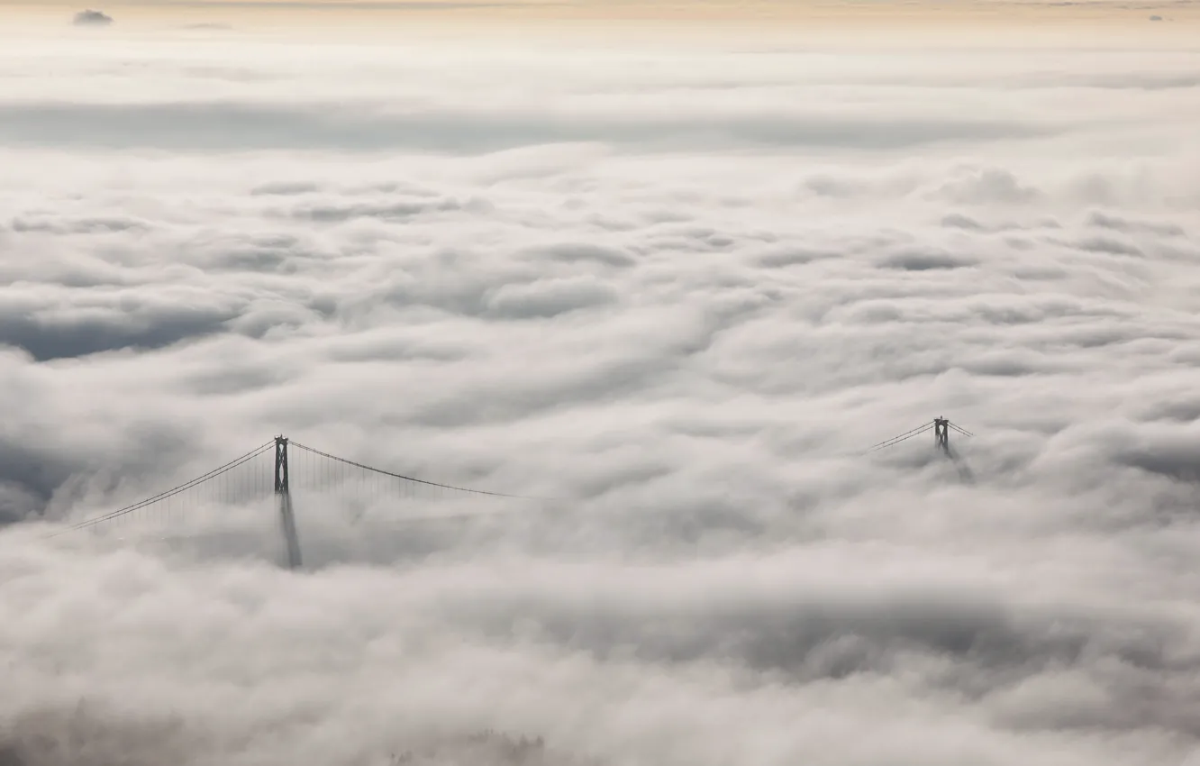 Фото обои пейзаж, природа, туман, Lions Gate Bridge