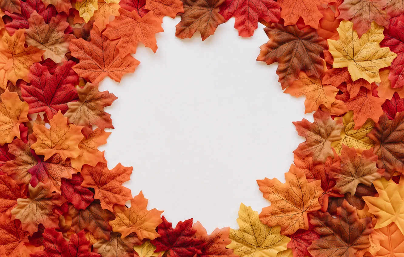 Фото обои осень, листья, фон, colorful, background, autumn, leaves, осенние