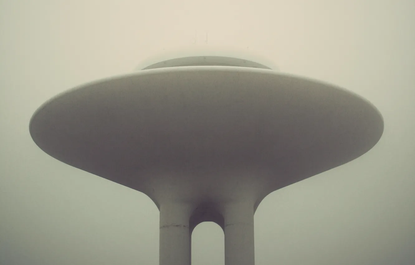 Фото обои туман, тарелка, объект