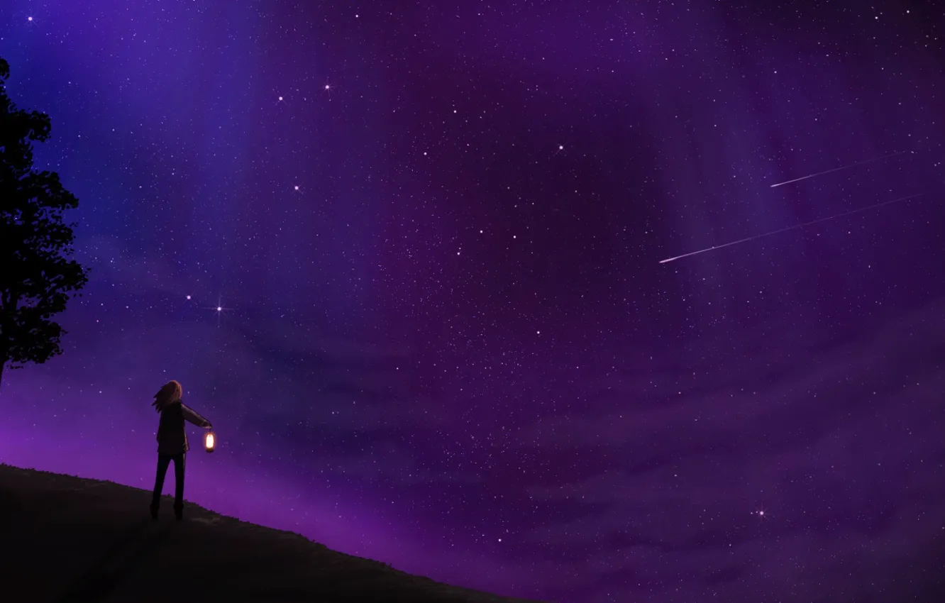 Фото обои небо, звезды, деревья, ночь, человек, арт, фонарь