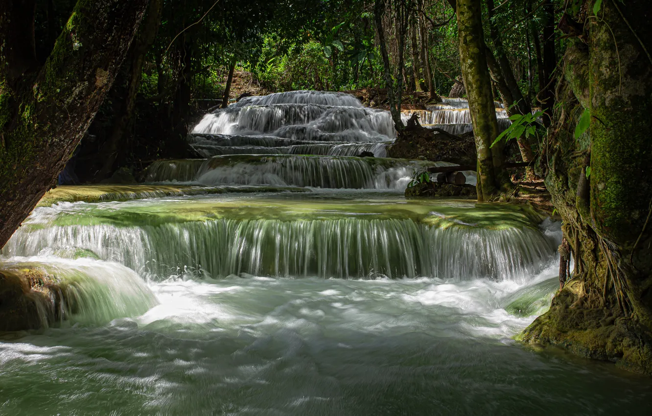Фото обои лес, вода, пейзаж, природа, водопад, Таиланд, mae kae
