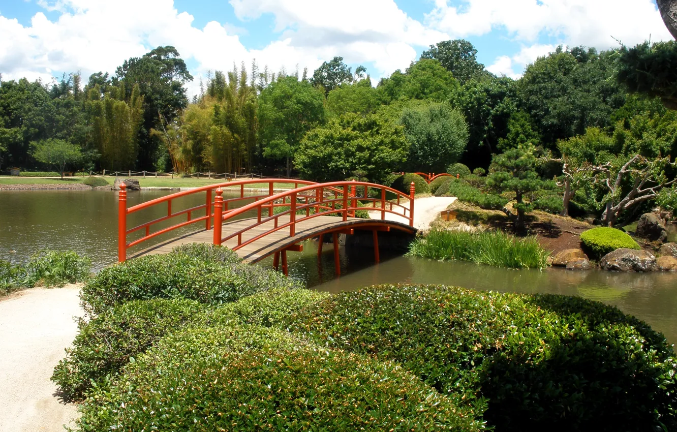 Фото обои деревья, мост, пруд, парк, Австралия, Japenese Garden, Toowoomba