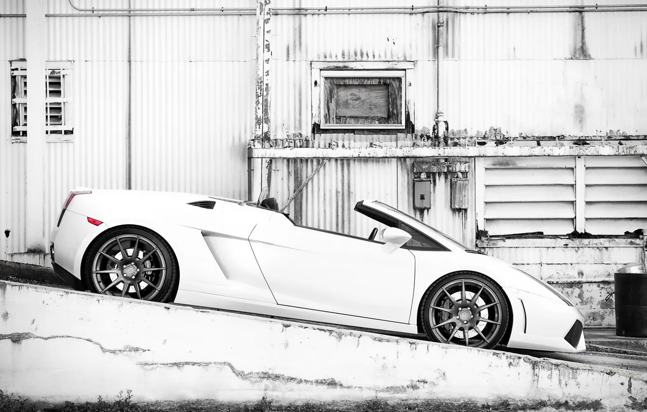 Фото обои Auto, cars, Lamborghini Gallardo, гораж