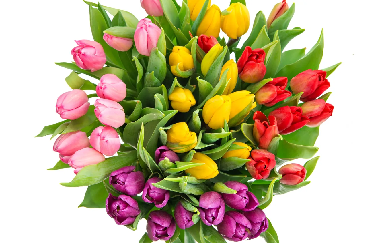 Фото обои colorful, тюльпаны, красные, red, розовые, разноцветные, pink, beautiful