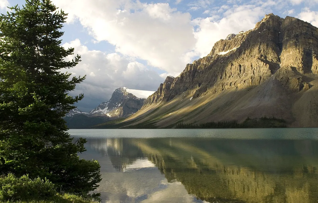 Фото обои озеро, отражение, гора, Ель