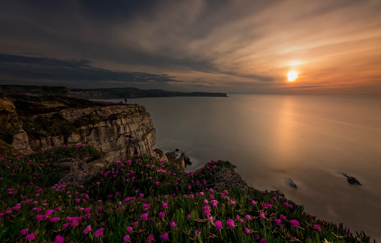 Фото обои море, закат, цветы, скалы, побережье, Испания, Spain, Бискайский залив